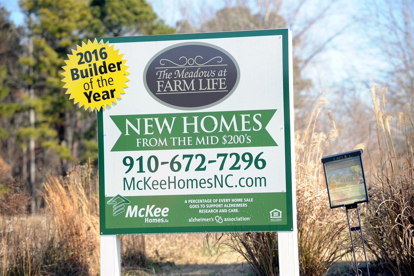 Housing boom 09.jpg